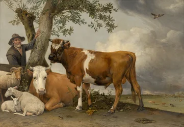 Der Stier, 1647
